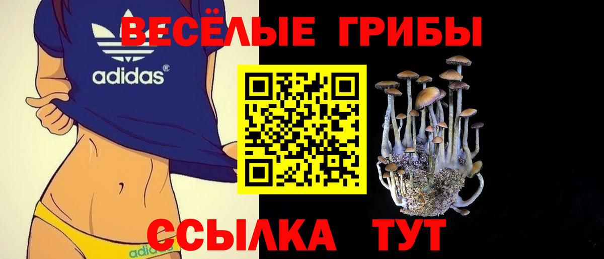 Галлюциногенные грибы Psilocybine cubensis  Вход с VPN  Самара 